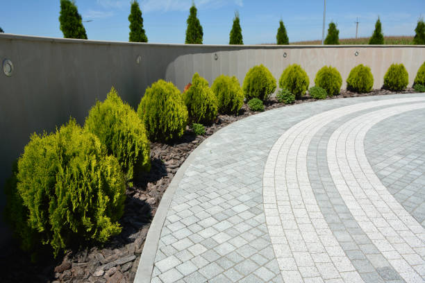 Best Residential Paver Driveway  in Aurora, TX